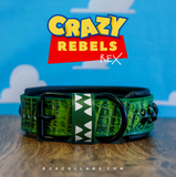 Rex Avalanche Collar