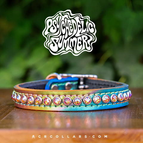 Wonderland Diva Collar, 11" - 13”