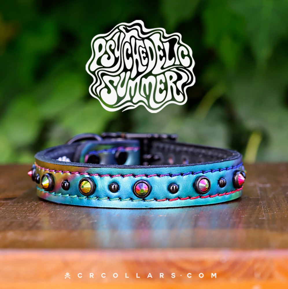 Wonderland Brixton Collar, 10"- 12"