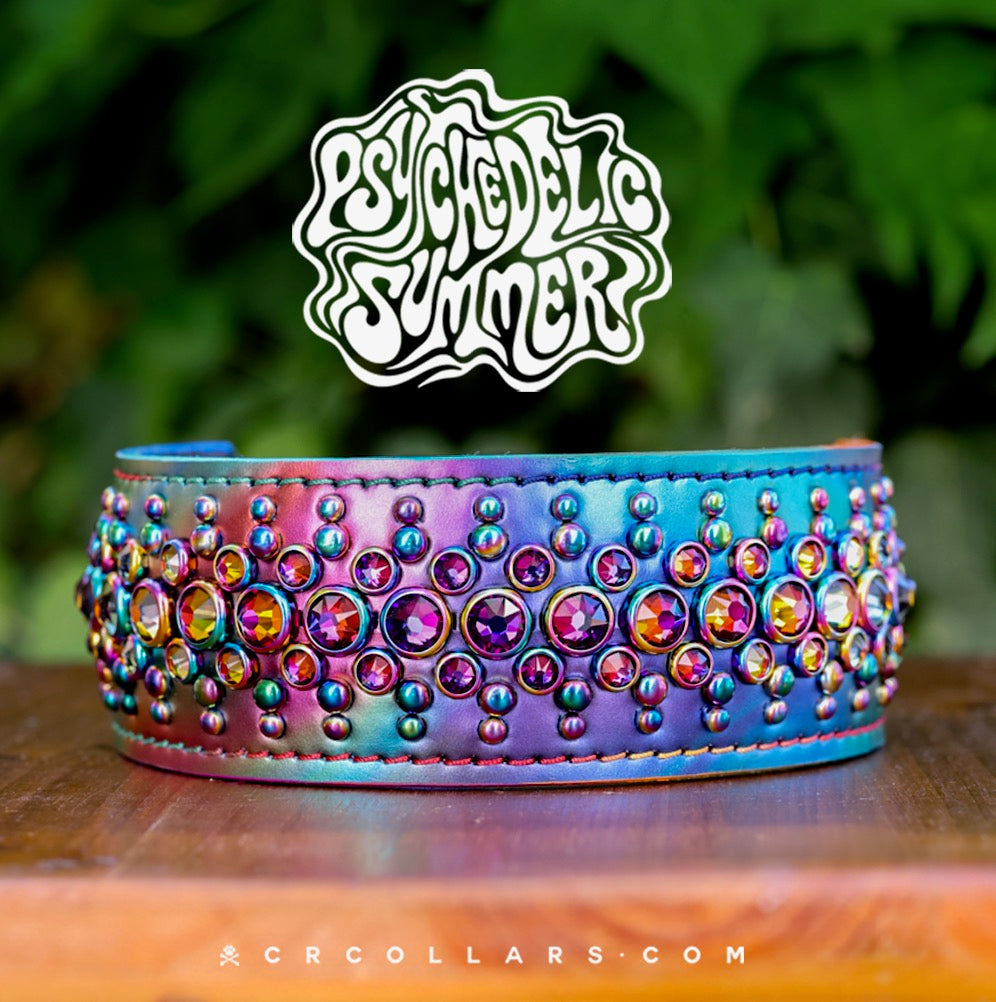 Wonderland Aberdeen Collar, 15" - 17”