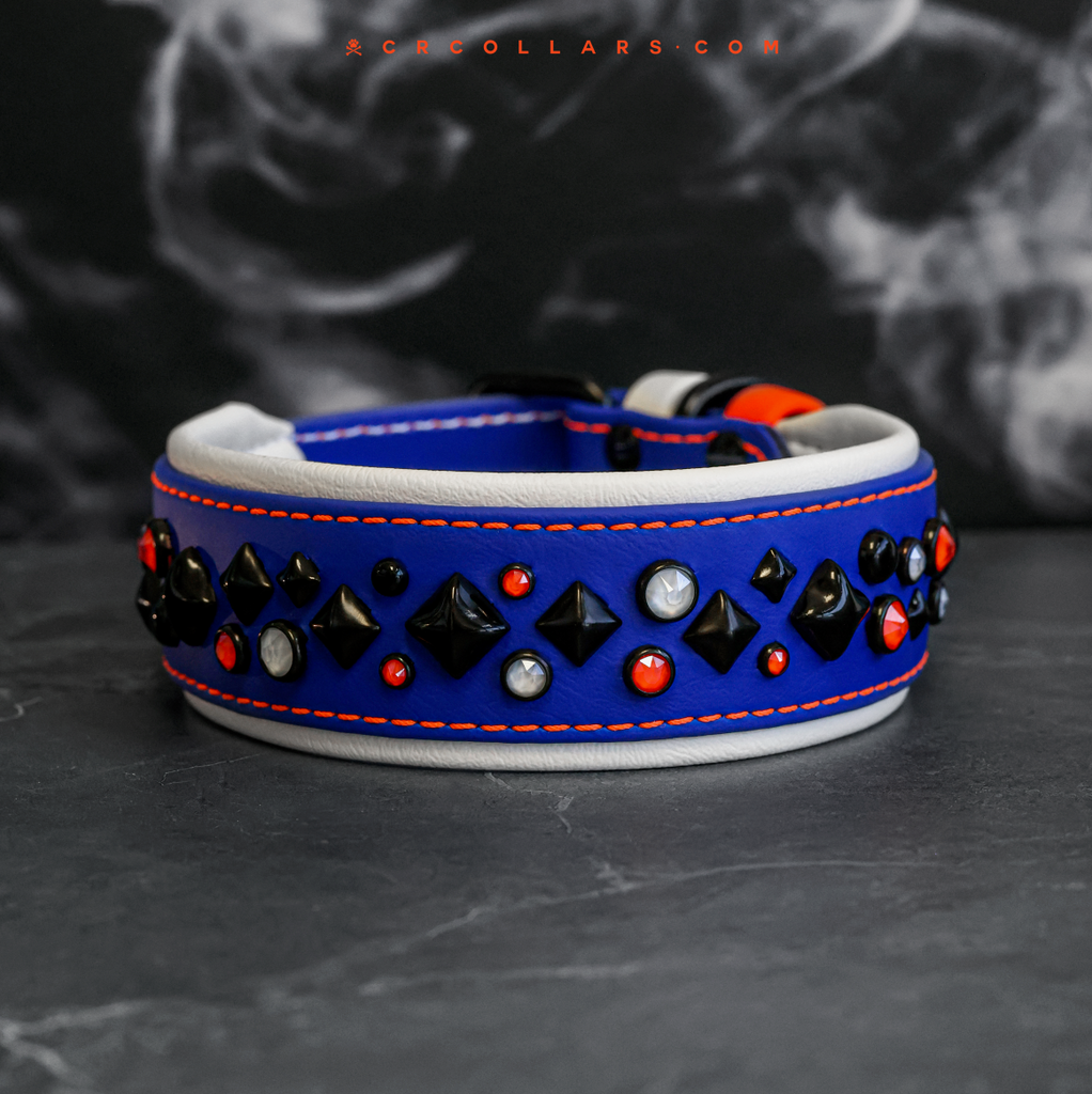 2026 Champions  Kyon Avalanche Luxe Collar
