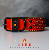Fire Dakoda Double Collar, 18" - 20"