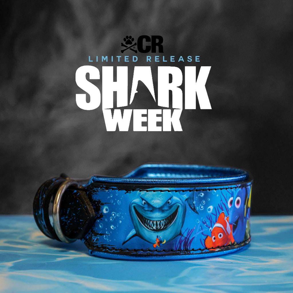 Fish Friendly Sharks Kustom Collar