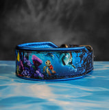 Fish Friendly Sharks Kustom Collar