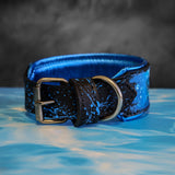 Fish Friendly Sharks Kustom Collar