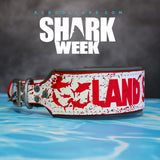 Land Shark Collar, 15" - 17"