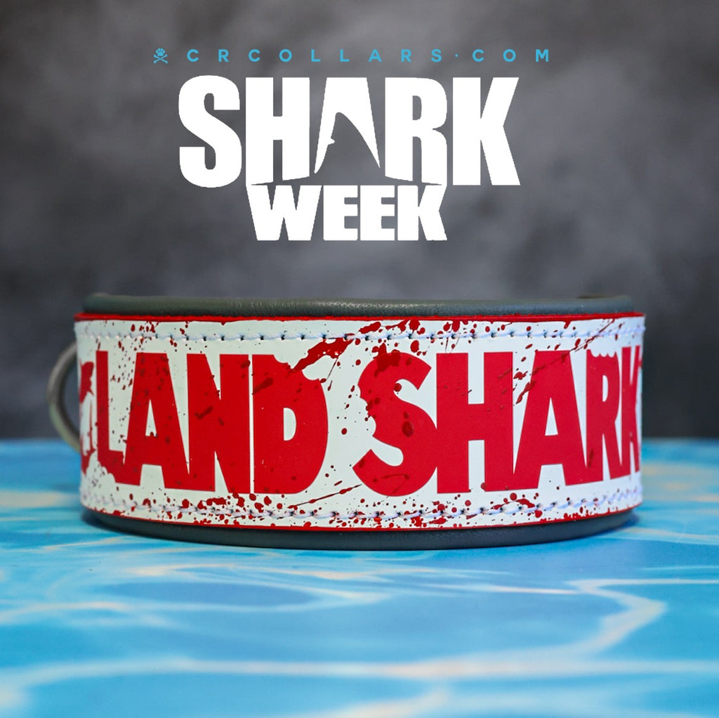 Land Shark Collar, 17" - 19"