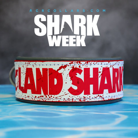 Land Shark Collar, 15" - 17"