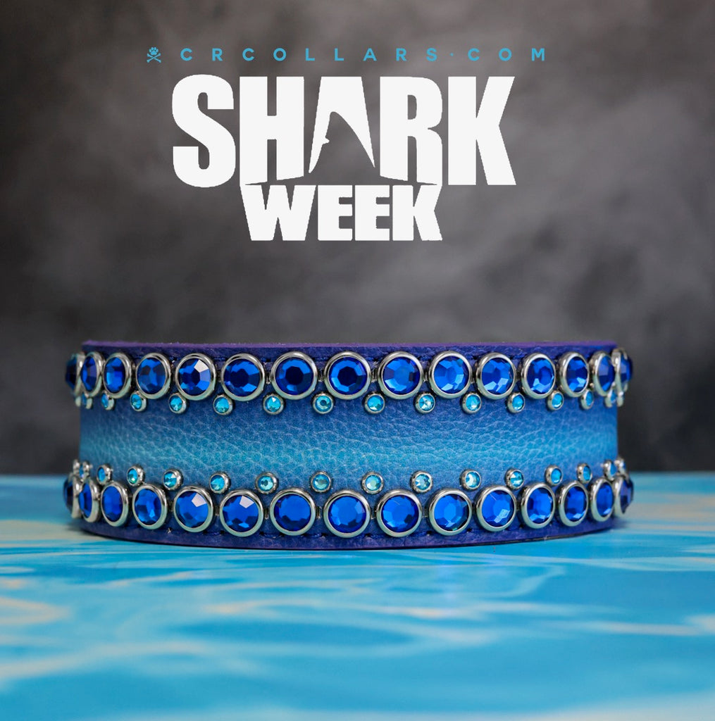 Oceanic Euphoria Collar, 16" - 18"
