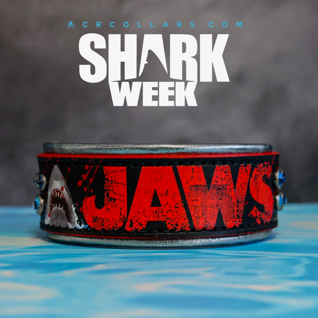 Jaws Embrz Collar, 12" - 14"