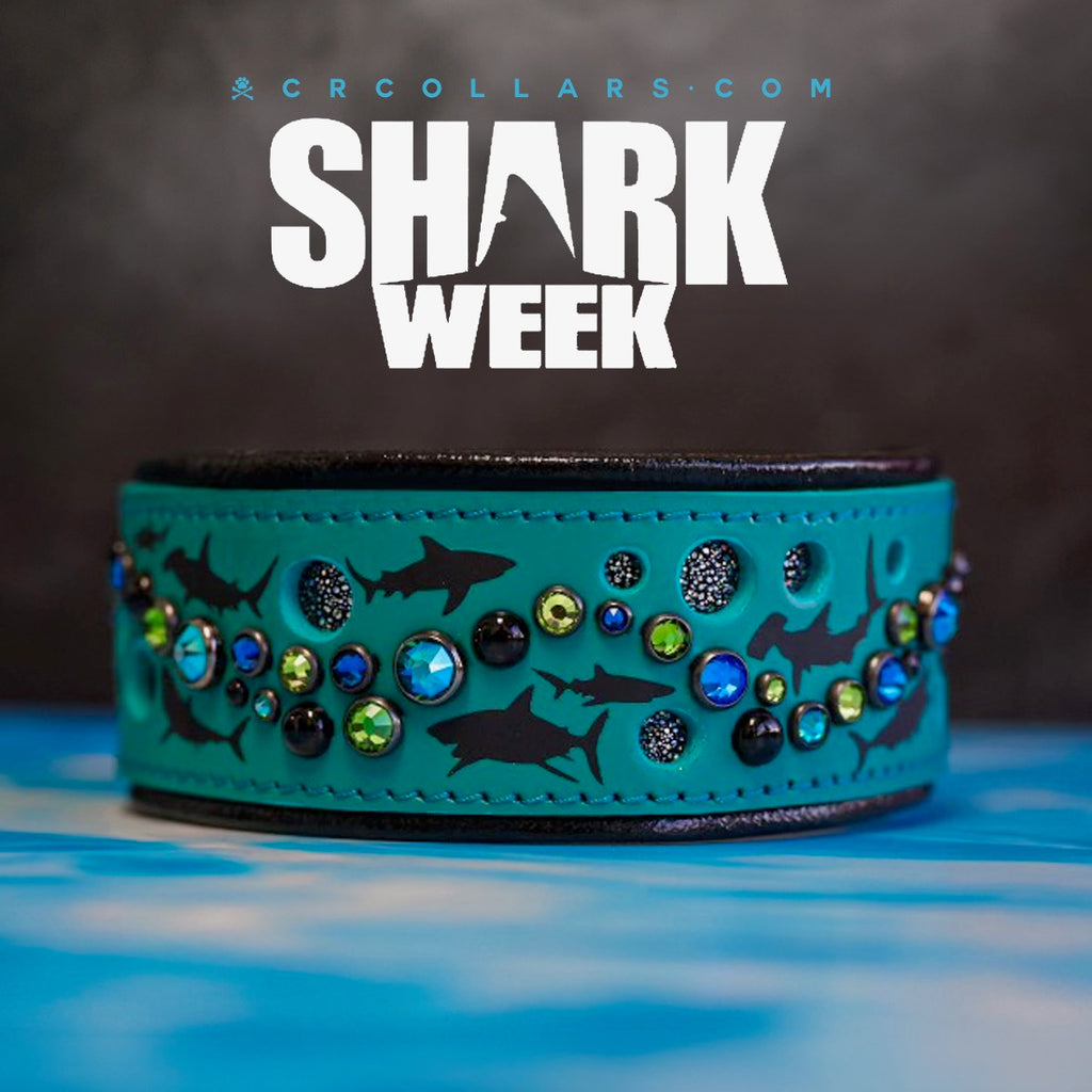 Shark Triton Kustom Collar, 20"- 22"