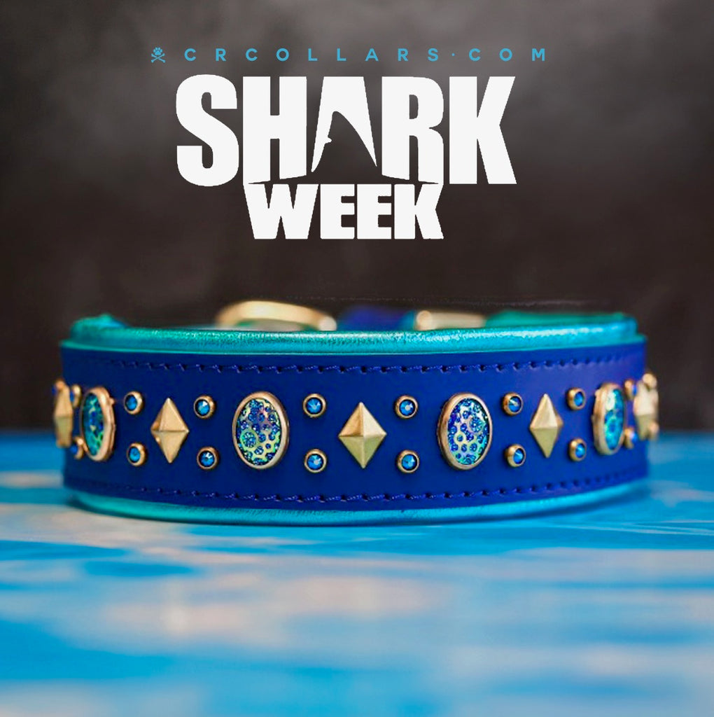 Siren Collar, 14" - 16"
