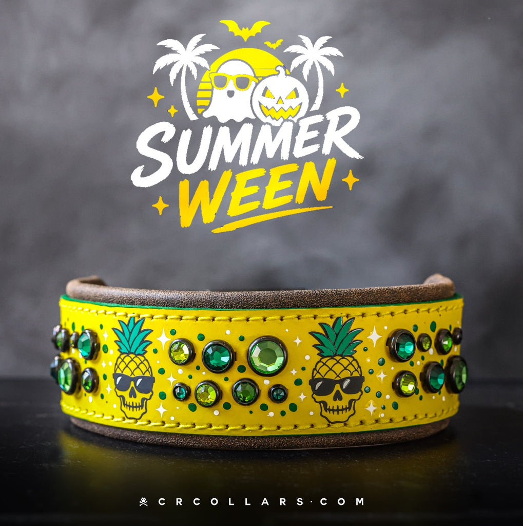 Tropical Terror Embrz Collar