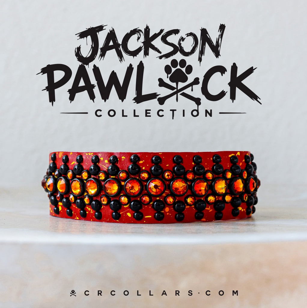 Aberdeen Mini Collar, 11” - 13”