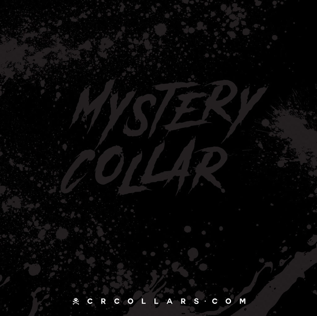 Mystery Aberdeen Collar, 17” - 19”