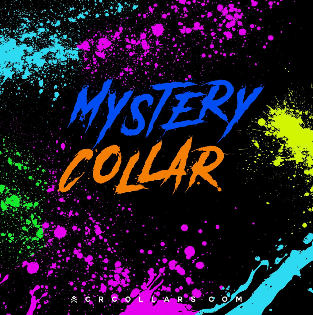 Mystery Neon Embrz Collar, 15” - 17”