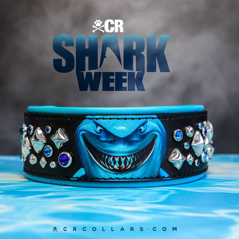 Bruce Avalanche Luxe Collar