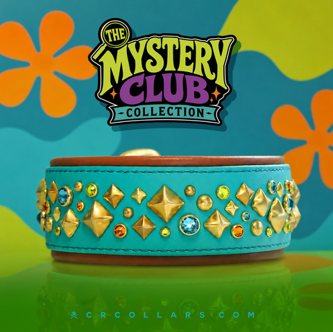 Mystery Club Kyon Avalanche Collar