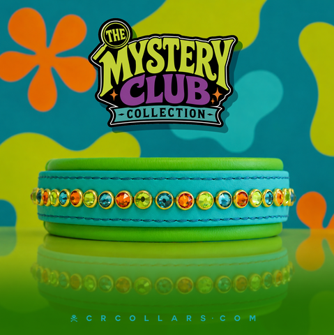Mystery Club Kyon Diva Collar