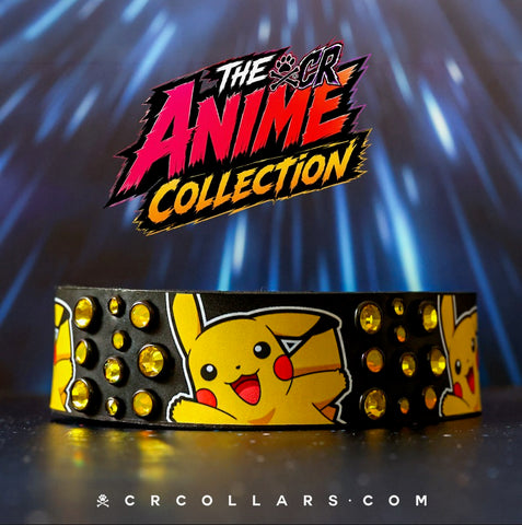 Pikachu Embrz Collar, 13" - 15"