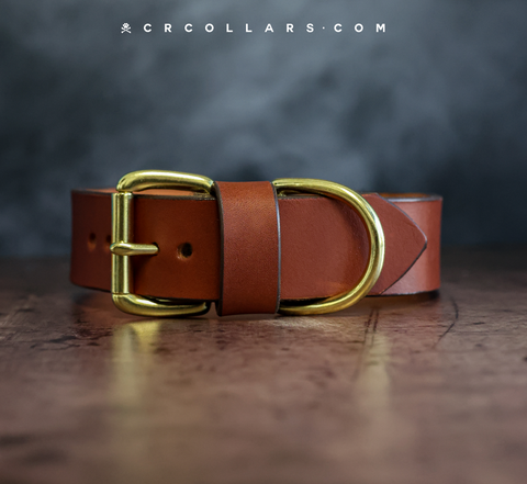 Classic Collar