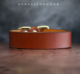 Classic Collar