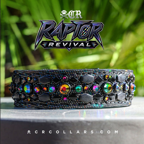 Medusa Mini Collar, 13"- 15"