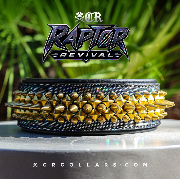Coachella Spiked Collar, 17"- 19"