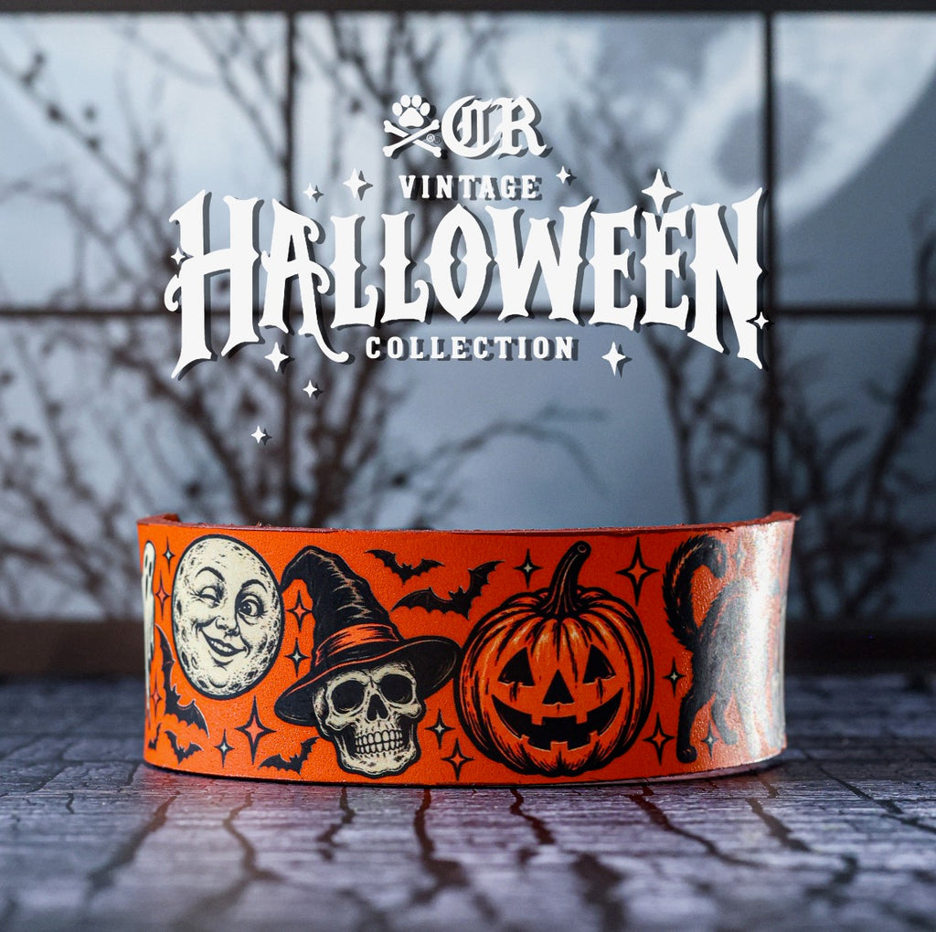 Vintage Halloween Kustom Collar, 14"- 16"