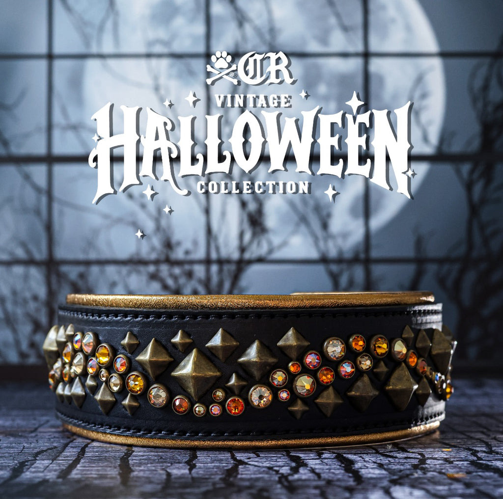 Illusion Collar, 19"- 21"
