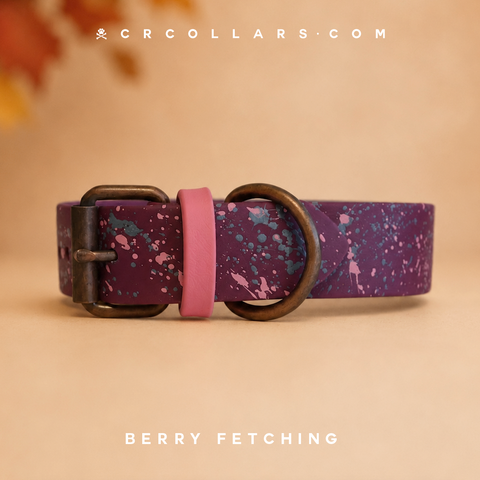 Berry Fetching Kyon Splatter Collar
