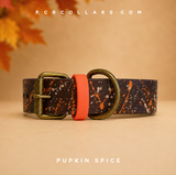 Pupkin Spice Kyon Splatter Collar