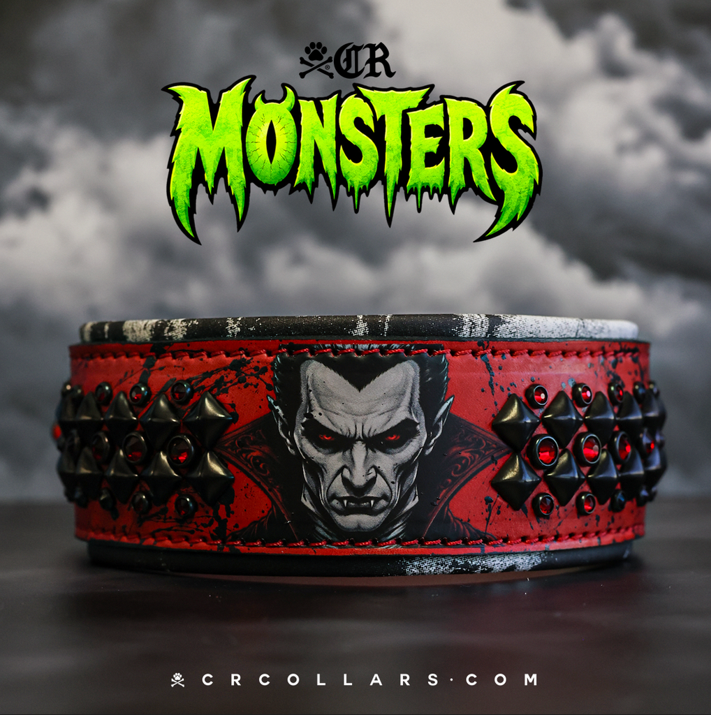 Dracula Coachella Collar, 16" - 18"