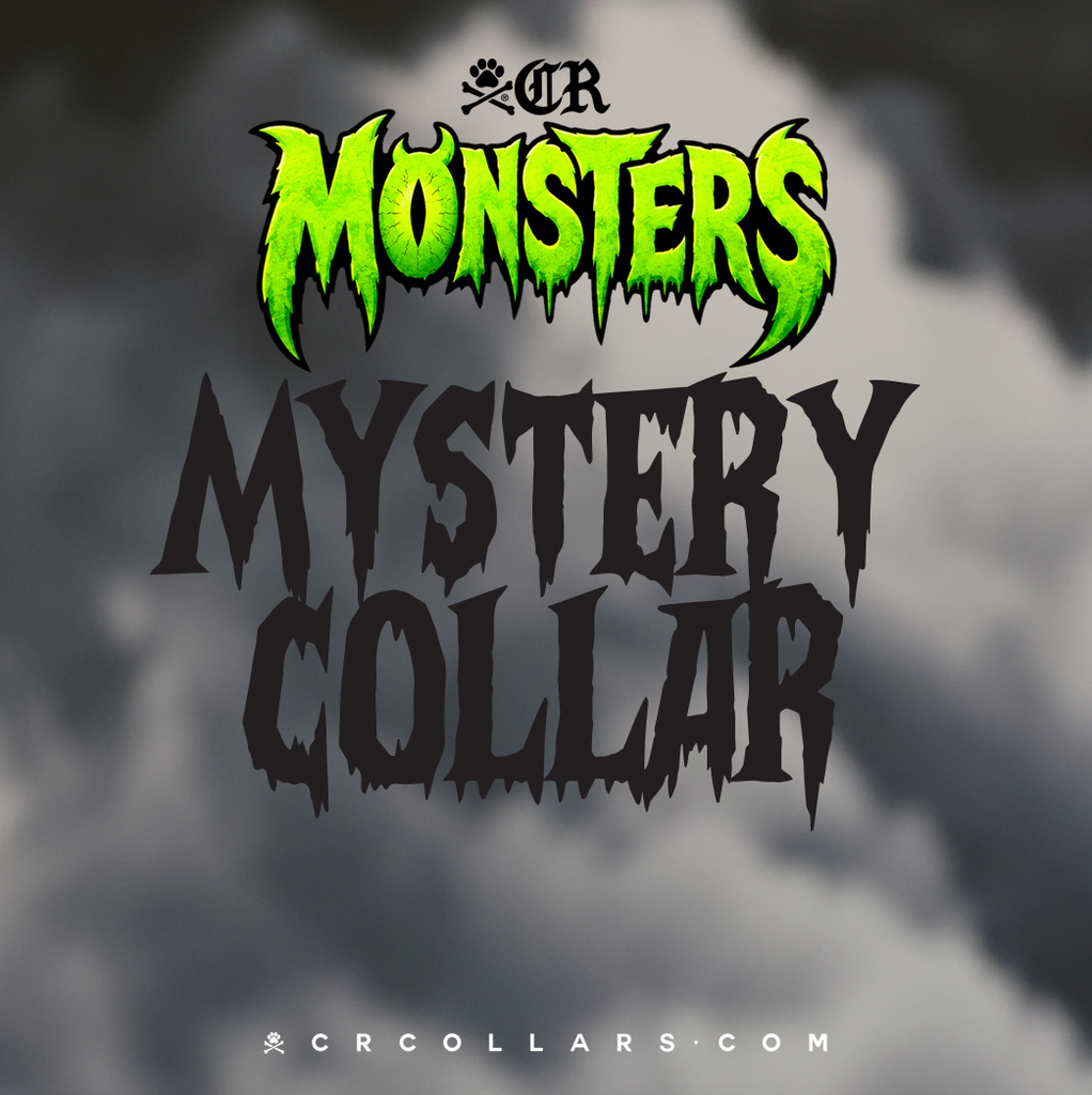Mystery Godzilla Sorcerer Collar, 14" - 16"