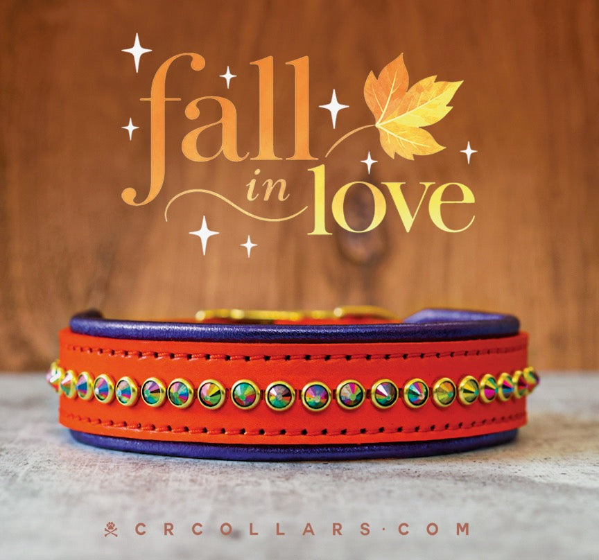 Diva Luxe Collar, 16" - 18"