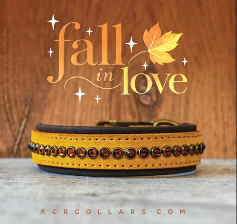 Sunflower Diva Luxe Collar, 13" - 15"
