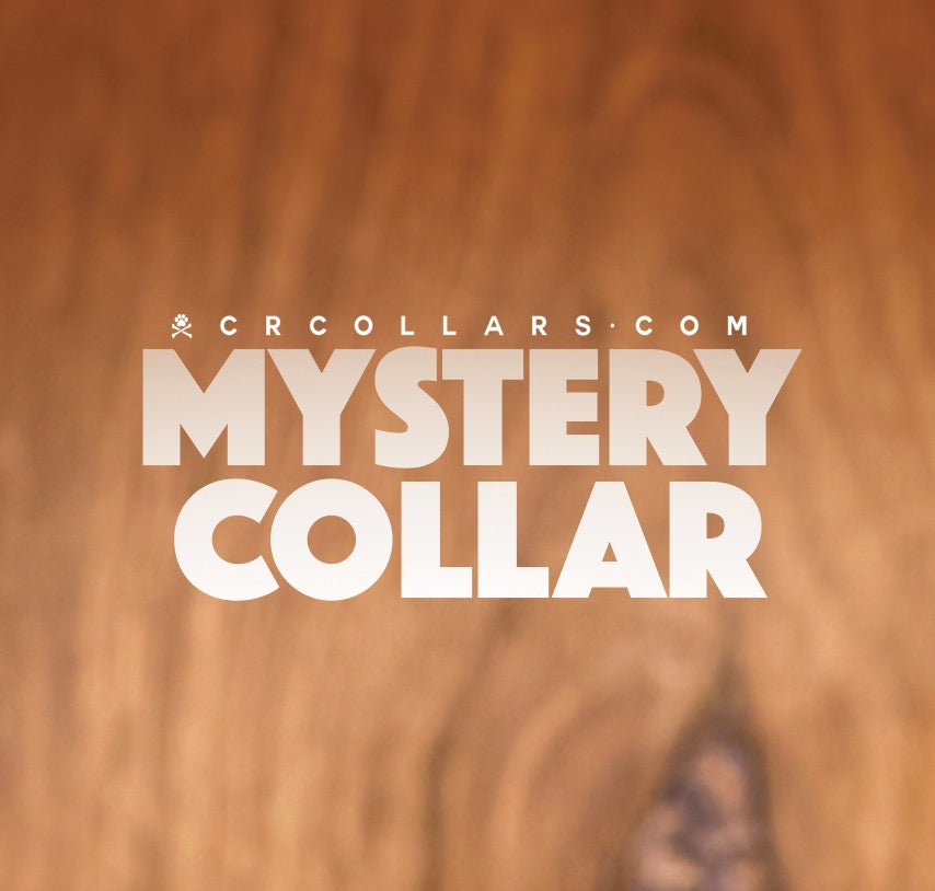 Mystery Belladonna Mini Collar, 17" - 19"