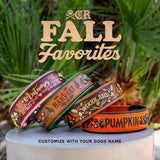 Harvest Avalanche Luxe Collar
