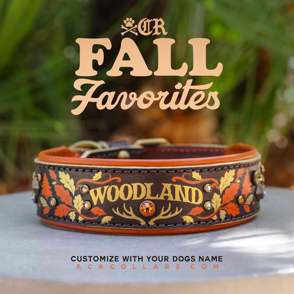 Woodland Avalanche Luxe Collar