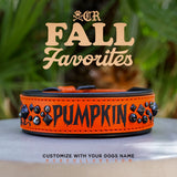 Pumpkin Avalanche Luxe Collar