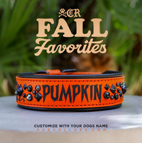 Pumpkin Avalanche Luxe Collar