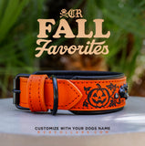 Pumpkin Avalanche Luxe Collar