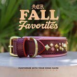 Autumn Avalanche Luxe Collar