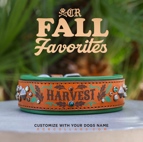 Harvest Avalanche Luxe Collar