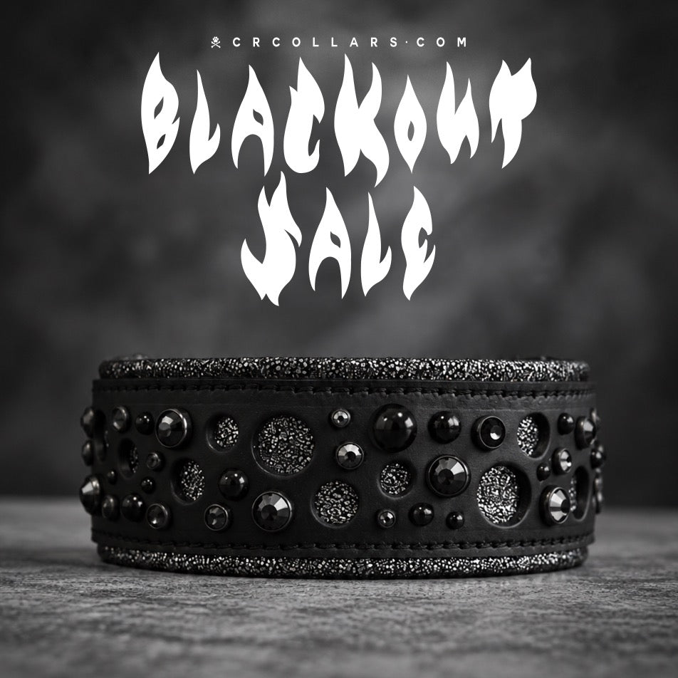 Blackout Deathpool X Collar, 17" - 19"