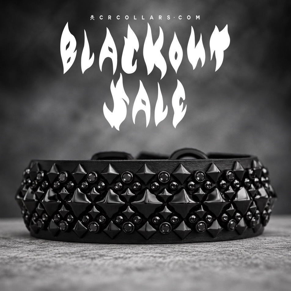 Blackout Fantasia Collar, 16" - 18"