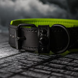 Goosebumps Deathpool X Kustom Collar