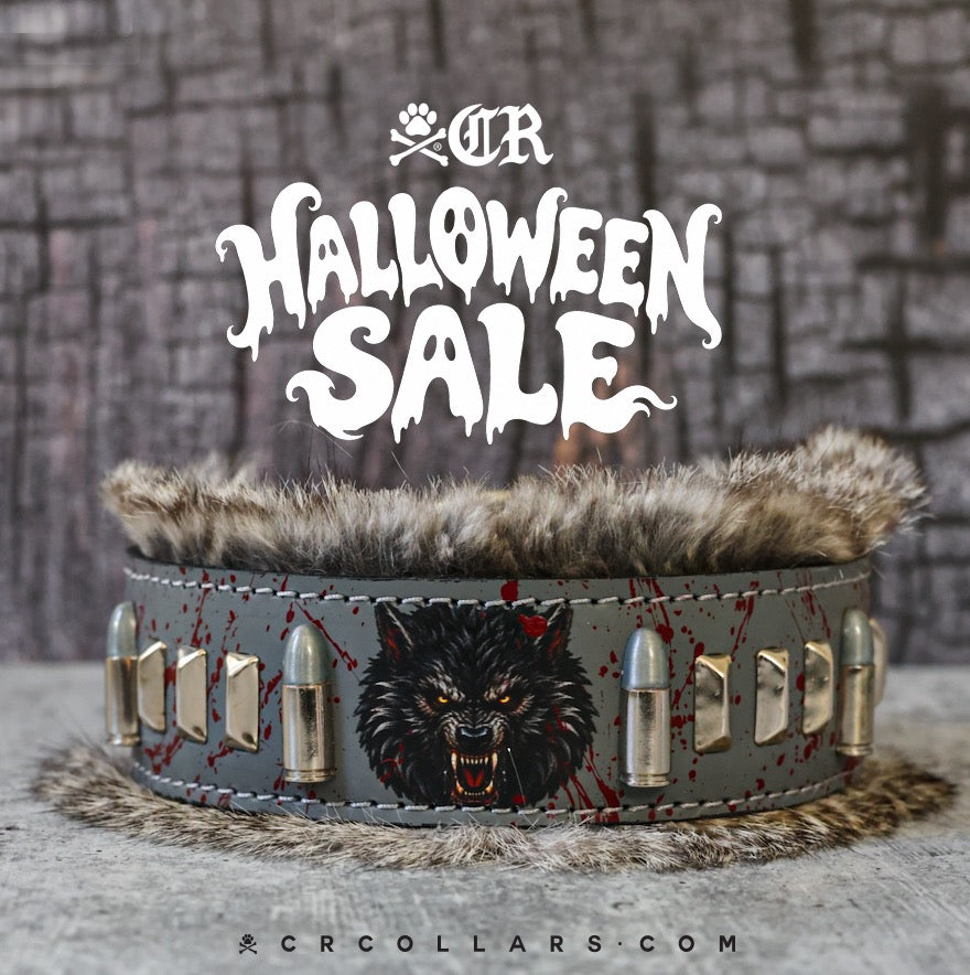 Werewolf Silver Bullet Collar, 17" - 19"