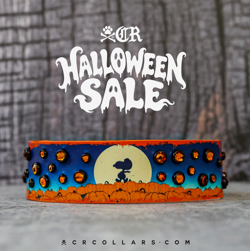 It's The Great Pumpkin Collar, 13" - 15"