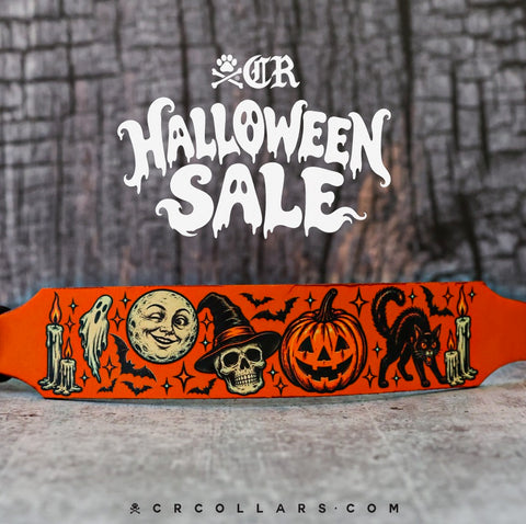 Vintage Halloween Kustom Collar, 10"- 12"